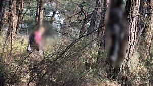 Kayıp olarak aranıyordu, cesedi bulundu