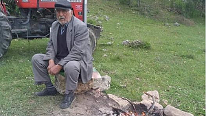 Ormanlık alanda şok ölüm
