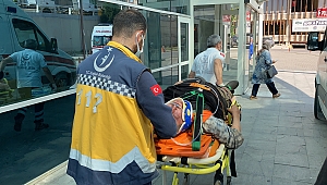 Kestikleri ağacın altında kalan iki kişi yaralandı