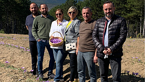 Safran Festivali start alıyor