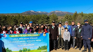 SAFRANBOLU'DA '84 MİLYON İÇİN 3'ER FİDAN' DİKİM ETKİNLİĞİ YAPILDI
