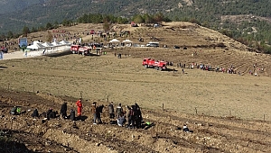 Yanan ormanlık alanlar Milli Ağaçlandırma Günü'nde fidanla buluşturuldu