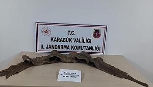 Eskipazar'da ele geçirildi: İbranice yazılı yılan derisi...