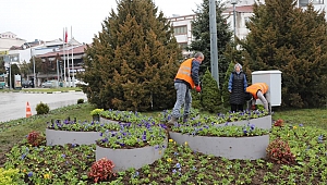 Kıranköy Meydanı Kışlık Çiçeklerle Süslendi