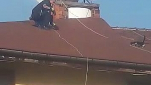 Kediyi kurtarmak için canını tehlikeye attı
