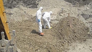 Günlük vaka sayısı 600'ü geçti