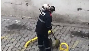 Kedi ve temizlik görevlisinin iç ısıtan dostluğu...