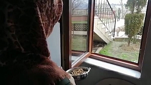 Tilkiyle diyaloğu tebessüm ettirdi