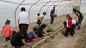 Başkan Köse’den Üretime Çağrı
