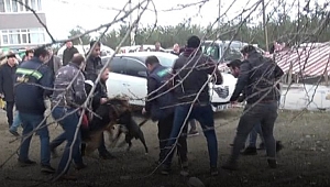 Köpeklerin kavgası sahiplerine zor anlar yaşattı