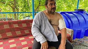 Ayı saldırısına uğrayan vatandaş: “Beni öldü zannetti”