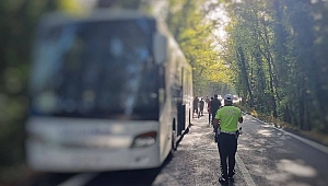 Yolcu otobüsü ağaçlara çarptı!