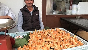 Doğada kendiliğinden yetişiyor, fiyatı cep yakıyor