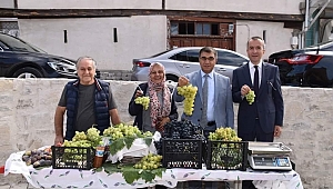 Safranbolu Çavuş Üzümü