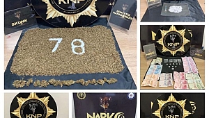 31 şüpheli yakalandı
