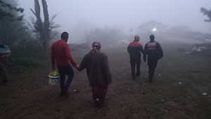 Mantar toplarken kaybolan 5 kişi bulundu