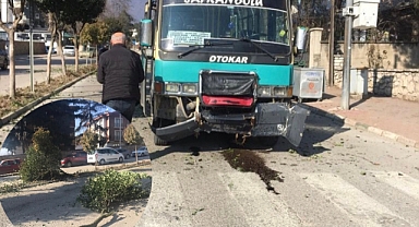 Ağaçları devirip karşı şeride geçti: 1 yaralı