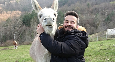 Akıllı eşek sosyal medyayı salladı!