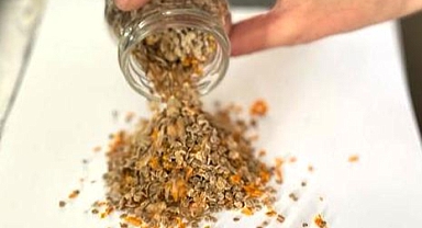 20 bin tohumu toprakla buluşuyor
