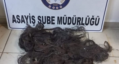 Kablo hırsızlığı internet kesilince ortaya çıktı
