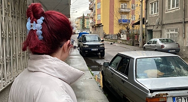 Kediler için sokaktan salonuna merdiven açtı