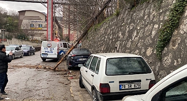 Karabük'te ağaç 2 aracın üzerine devrildi