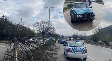 Kontrolden çıkan otomobil ağaca çarptı: 1 yaralı