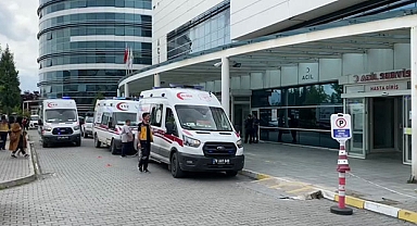 Eline tüfeği aldı domuz sanıp tereddüt etmeden sıktı, dakikalar sonra ateş ettiği kişiyi görünce şoke oldu