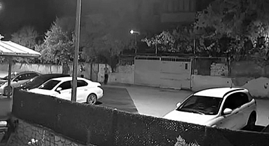 Safranbolu'daki domuzların saldırısı kamerada!