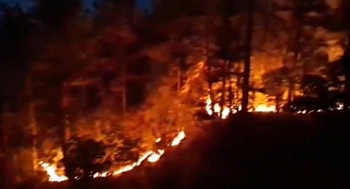 Karabük'te çıkan orman yangınına müdahale ediliyor
