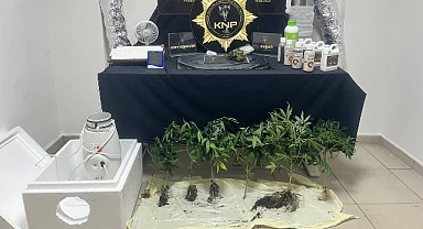 Bez dolap içinde uyuşturucu serası yakalandı