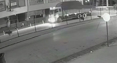 Karabük'te sürücülerin ayı şaşkınlığı