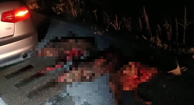 Yola çıkan domuz sürüsü kazaya neden oldu: 6 yaralı
