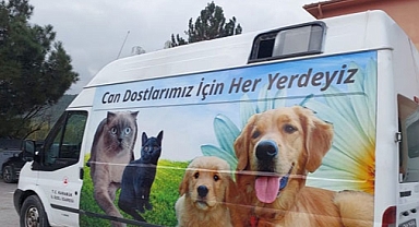 Sokak hayvanlarına 75 bin liralık mama alındı