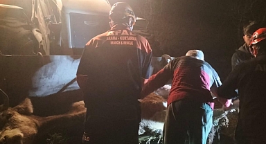 Dereye düşen gebe inek iş makinesiyle kurtarıldı