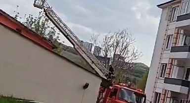 Evinden kötü koku gelince cesedi bulundu