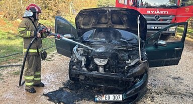 Park halindeki araç alev aldı