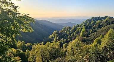 KARABÜK 'TE ORMANLIK ALANLARA GİRİŞLER YASAKLANDI