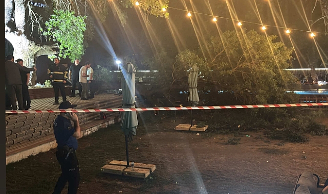 Ağacın dalı kırıldı:4 kişi yaralandı