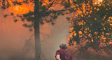 EFLANİ'DE ORMAN YANGINI ÇIKTI
