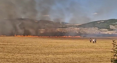 Eskipazar'da Anız Yangını Büyüyor