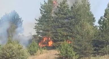 Eskipazar'da korkutan anız yangını