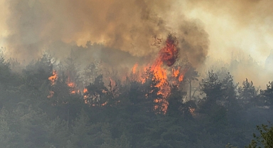 Karabük'te orman yangını: Müdahale sürüyor