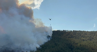 Karabük'te orman yangını rüzgarın etkisiyle büyüyor
