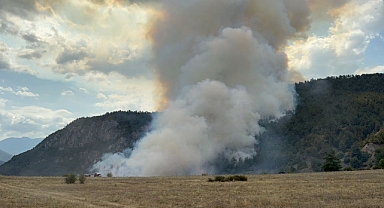 Son dakika: Karabük'te orman yangını çıktı