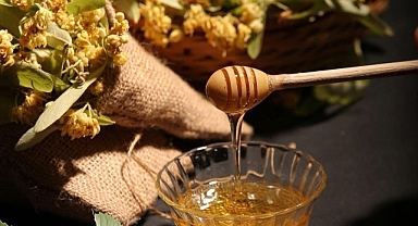 Umudu Yeşerten Karabük’ten Avrupa’ya: Yenice Ihlamur Balı AB Yolunda