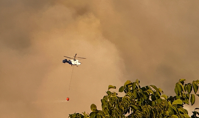 Karabük'te orman yangını: 5 gözaltı
