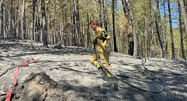 Karabük yangınından geriye kalan içler acısı manzara yürek burktu