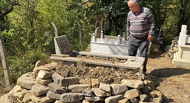 Yenice'de mezarlıkta ayı paniği..