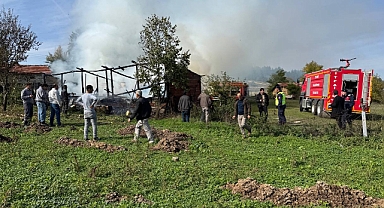 Eflani'de çıkan yangında 36 arı kovanı zarar gördü